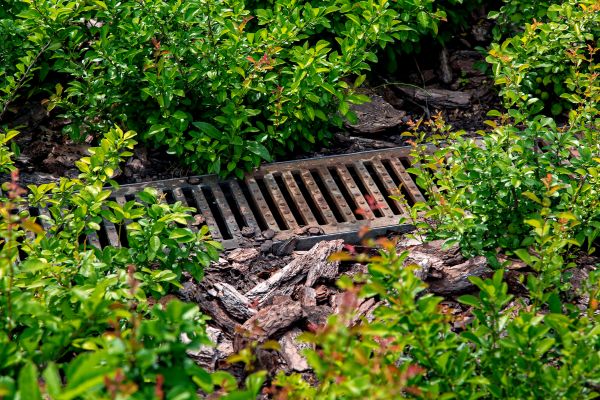 Cost of Underground Drainage Service in Peyton