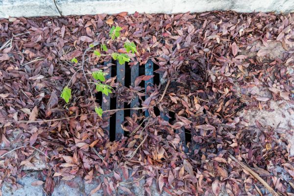 Cost of Yard Drain Unclogging in Peyton