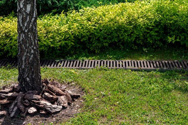 Cost of Wet Yard Drainage in Peyton