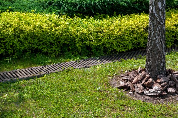 Cost of Residential Landscape Drainage in Peyton