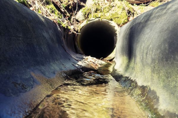 Cost of Drainage Swale Installation in Peyton