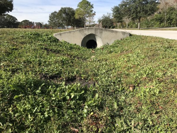 Cost of Swale Drainage Service in Peyton